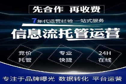 百度SEO推广策略全解析：某企业从零到一的成长历程
